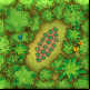 Single plantation