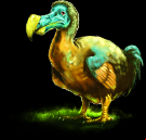Dodo