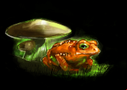 Golden Toad