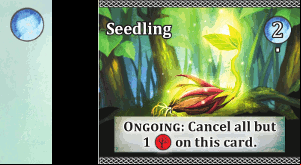 Seedling