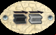 black and gray track