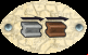gray and brown track