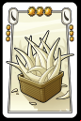 Ivory Ivory