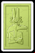 cards with green back